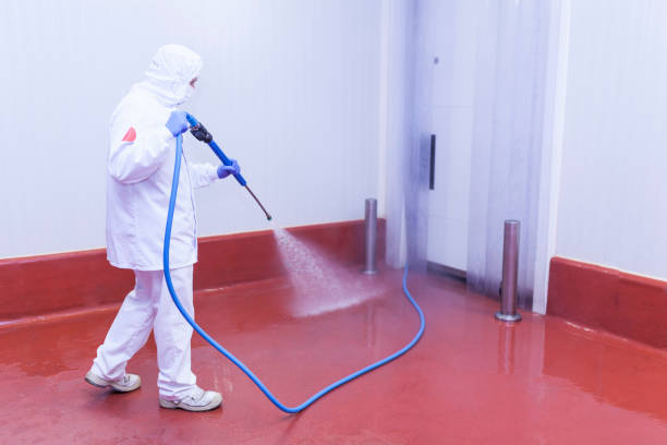 Best Pool Deck Cleaning in Saxapahaw, NC