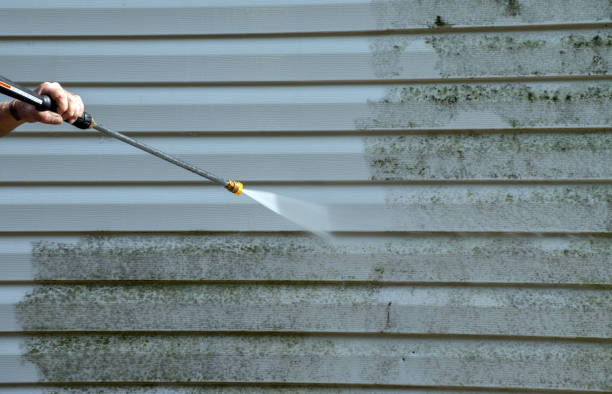 Best Gutter Cleaning and Brightening in Saxapahaw, NC